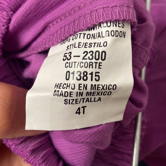 Toddler girls ruffle pants with long sleeve shirt very cute size 4 new with tags - Picture 7 of 8